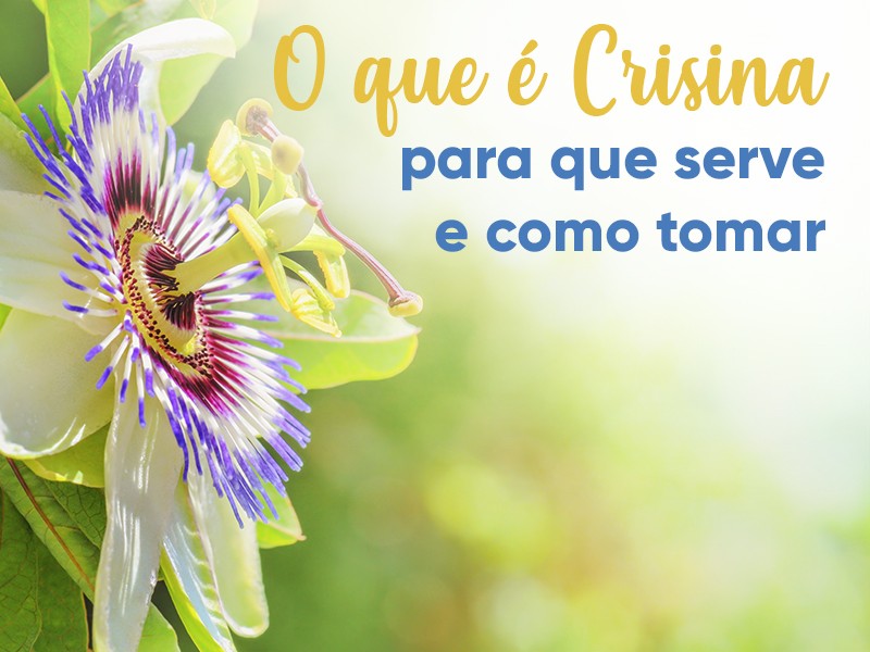 O que é Crisina: para que serve e como tomar